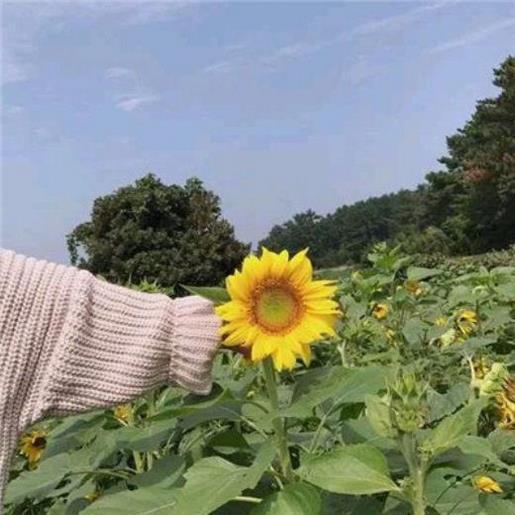 发朋友圈的精美句子 发圈秀恩爱的句子抖音最火