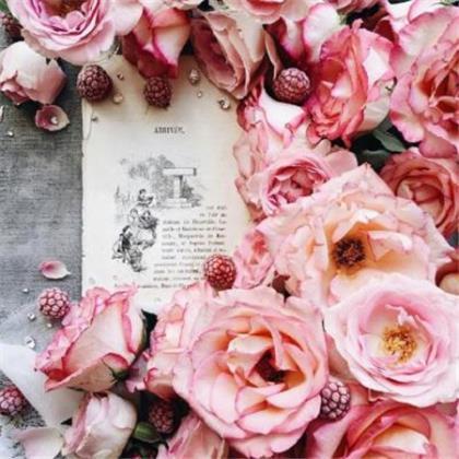 表白的句子简短 早安语录励志简短语句