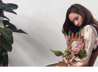 单身女人的伤感说说心情