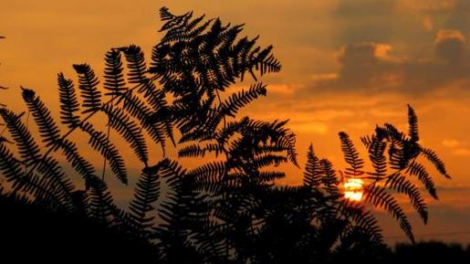 关于云的心情说说 如果你的心是苦的，我是甜的