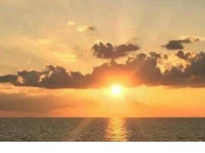 保护小草的创意海报 小草公益广告体会