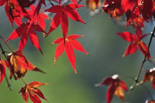 记录抖音美好生活文案