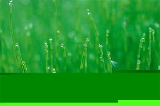 最好最简短的早安语 早安励志语录正能量