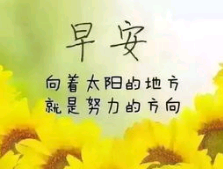 早安语开心的句子
