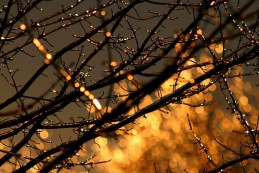 简短唯美青春励志说说 明天天气可能会凉快下来