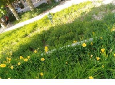 励志说说正能量 不要把你女朋友的生活当作密码