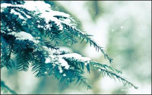 男人奋斗励志的句子说说心情