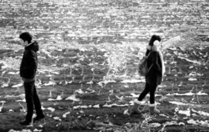 10大经典征婚内心独白文库 我在知识的海洋里喂