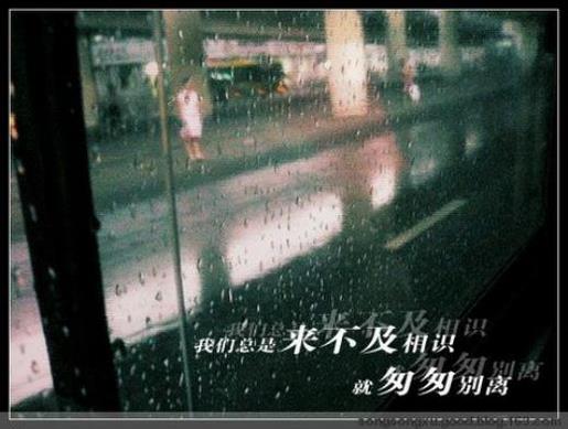 怎么挽留一段感情 感情语录经典短句