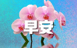对媳妇说早安句子