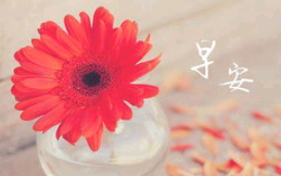 8月早安朋友圈高质量句子