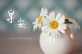 像小朋友说早安的句子