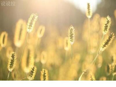 表白情话短句 向女人表白的浪漫情话幽默