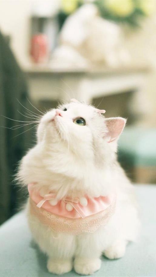 励志说说致自己图片 祝你聪明！愿你成长