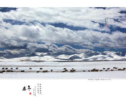 对岸的她经典语录 想跟她跨年的语录