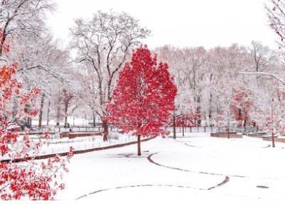 离家越来越近的心情说说