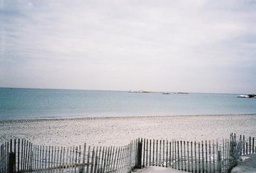 爱情的句子感动一点 爱情表白最感动的句子