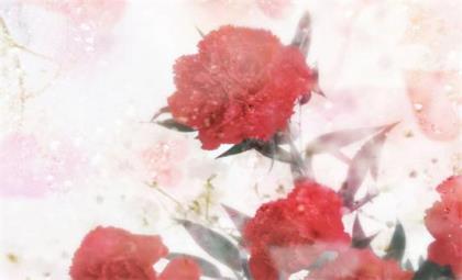 早安励志句子一句话 励志的句子致自己简短早安