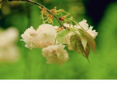 一句话经典语录励志