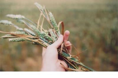 生活感悟的句子正能量 100句经典励志人生感悟