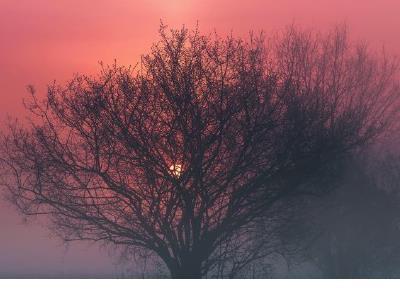发空间的哲理说说 QQ说说哲理