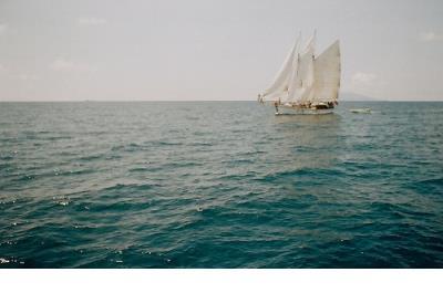 励志说说图片带文字