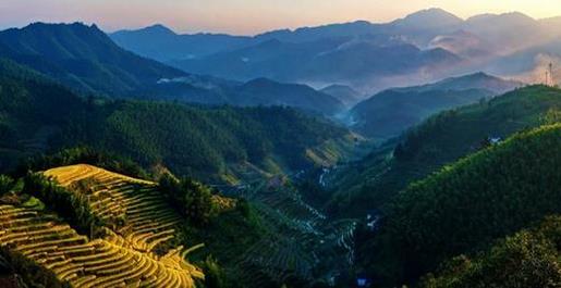 为了以后更好的生活励志说说 什么？Flash新闻！