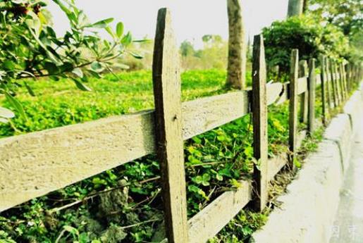 美图背景图片大全唯美 励志说说带图片致自己