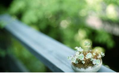 美图背景图片大全唯美 励志说说带图片致自己