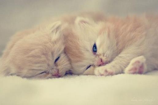 美图背景图片大全唯美 励志说说带图片致自己