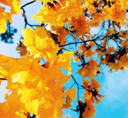 qq励志说说致自己短语