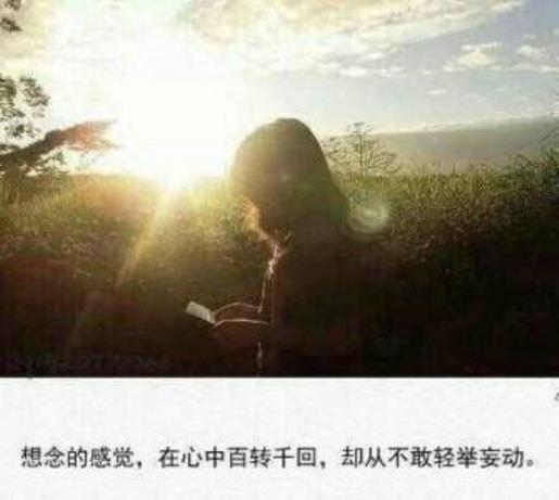 心若向阳便是晴天图片 立冬发朋友圈早安说说