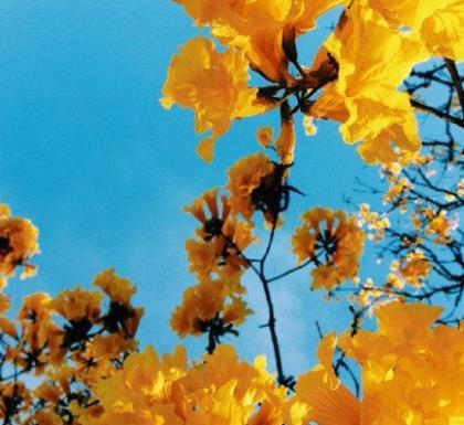 高三励志说说带图片 站在窗前想你，手里拿着你