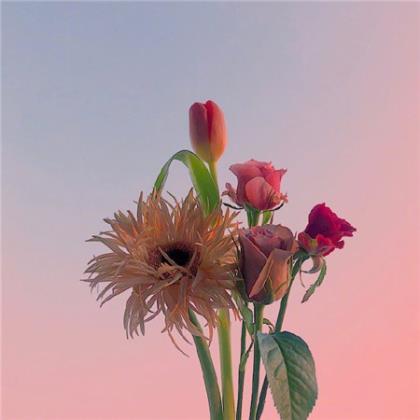 高三励志说说带图片 站在窗前想你，手里拿着你