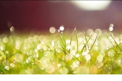 伤心失落的心情说说 一个人心情失落的图片