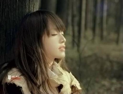 保护森林名言警句 我给你别人得不到的东西