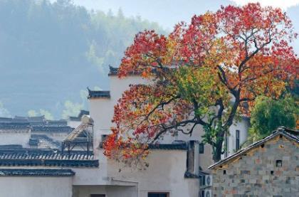 晚安心语正能量语句 朋友圈晚安正能量句子