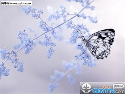 晚安心语正能量2020 桃李遍地香，抬学生龙门跳