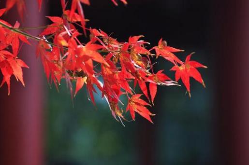 八字短句说说霸气 励志短句霸气十字以内