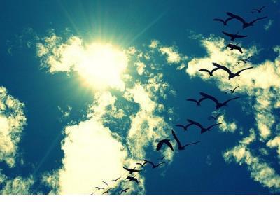 适合晚上发的说说