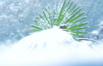 霸气说说古风励志 qq空间说说大全