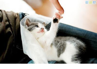 运动会朋友圈说说简短 适合旅游发朋友圈的简短