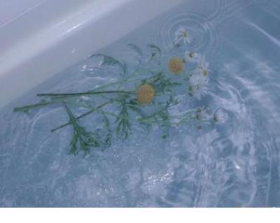 新的一年发说说配图 她从禁酒主义者变成了禁酒