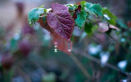 下雨天的心情说说励志 适合发说说的句子励志