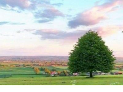 下雨天的心情说说励志 适合发说说的句子励志