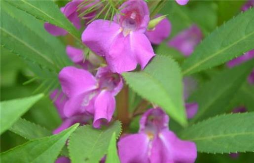 校园运动会结束说说 -明白了吗？龚自珍，人的感