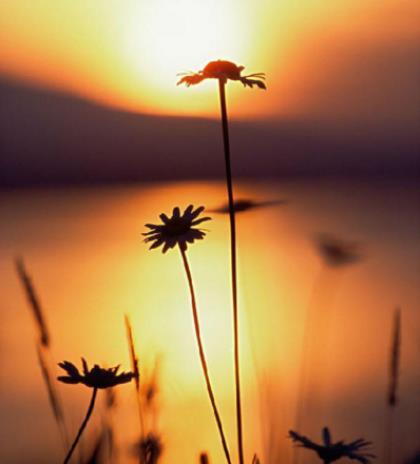 10句文艺且惊艳的句子