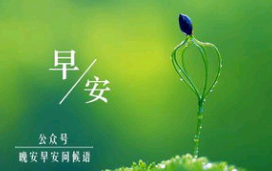 给对方的早安句子