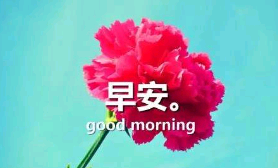 适合早安的古文句子配图