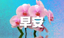 早安正能量句子 励志一句话